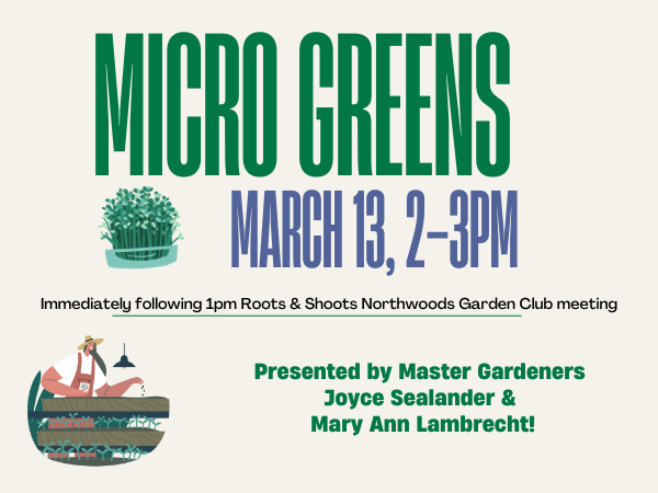 Micro Greens. Light background with earthy colors and stylistic illustrations of small-scale gardening.