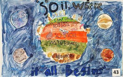 Conservation Awareness Poster Competition